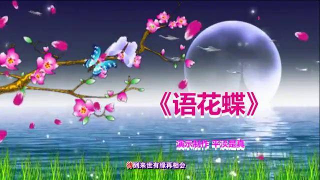 广场舞语花蝶蝶为花酸楚花为蝶心碎歌曲特别好听