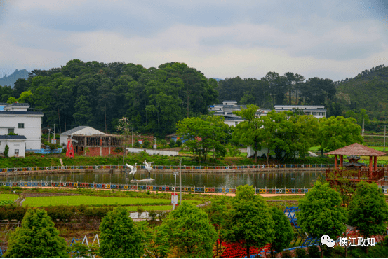 石城横江"白鹭动漫小镇"对外招商公告