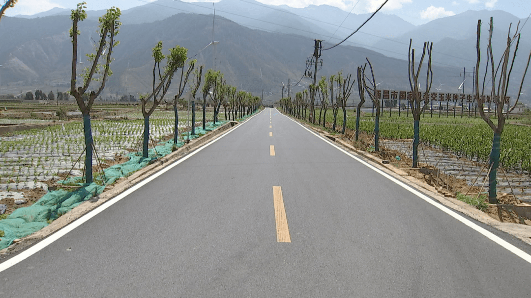 我为群众办实事改造入村道路提升乡村颜值