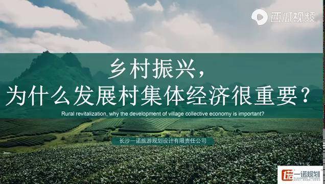 乡村振兴为什么发展村集体经济很重要