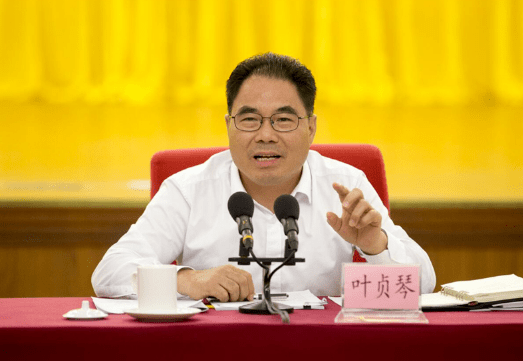 广东省委常委叶贞琴率团回江西老家考察说了一句话让家乡人感动