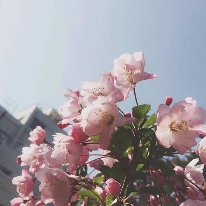 背景图|背景图 | 夜里有灯，你看这个世界并不坏