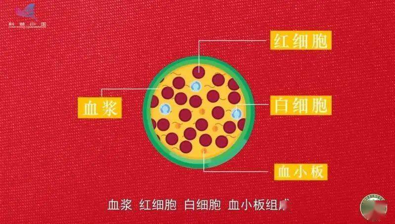 利用水稻生产人血清白蛋白,解决用血难题_血浆