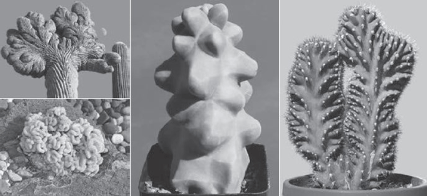 生物|癌症从何而来，又为何难以治愈？