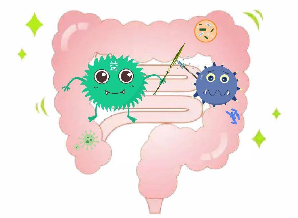 注意肠道菌群失衡更容易生病