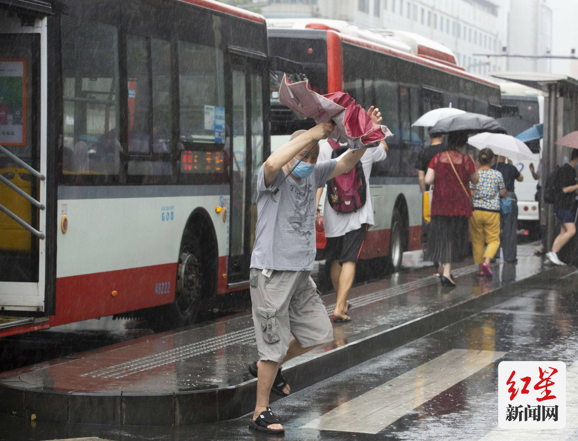 下雨被淋成落汤鸡图片图片