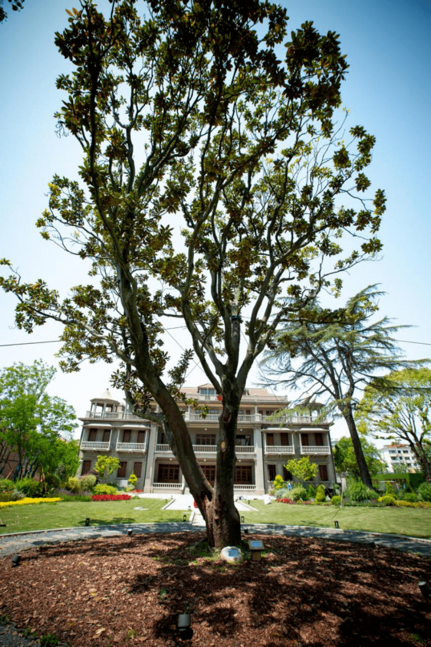 奉贤南桥沈家花园图片