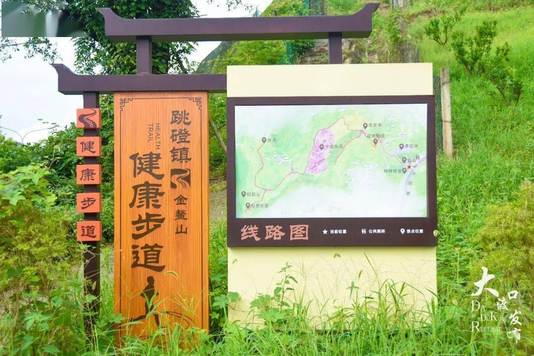 一起夏跳磴丨打卡金鳌山登山步道瞰田园美景