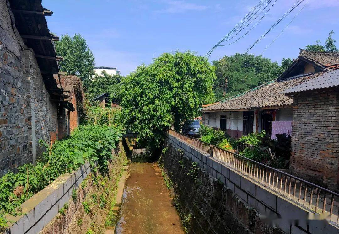 行走丨太平镇老街小巷