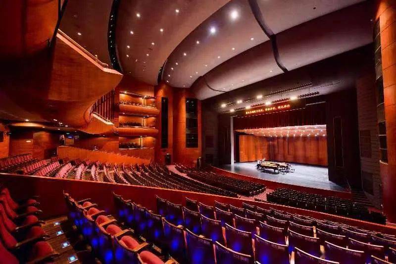 【冲刺,仅剩10个名额】原创儿童音乐剧《恐龙波比奇遇记》演员招募啦!