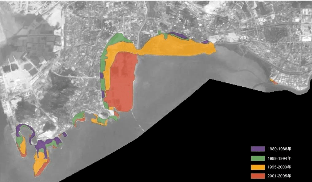 深圳歷次填海區域示意圖這三次大規模的填海導致深圳灣紅樹林的面積