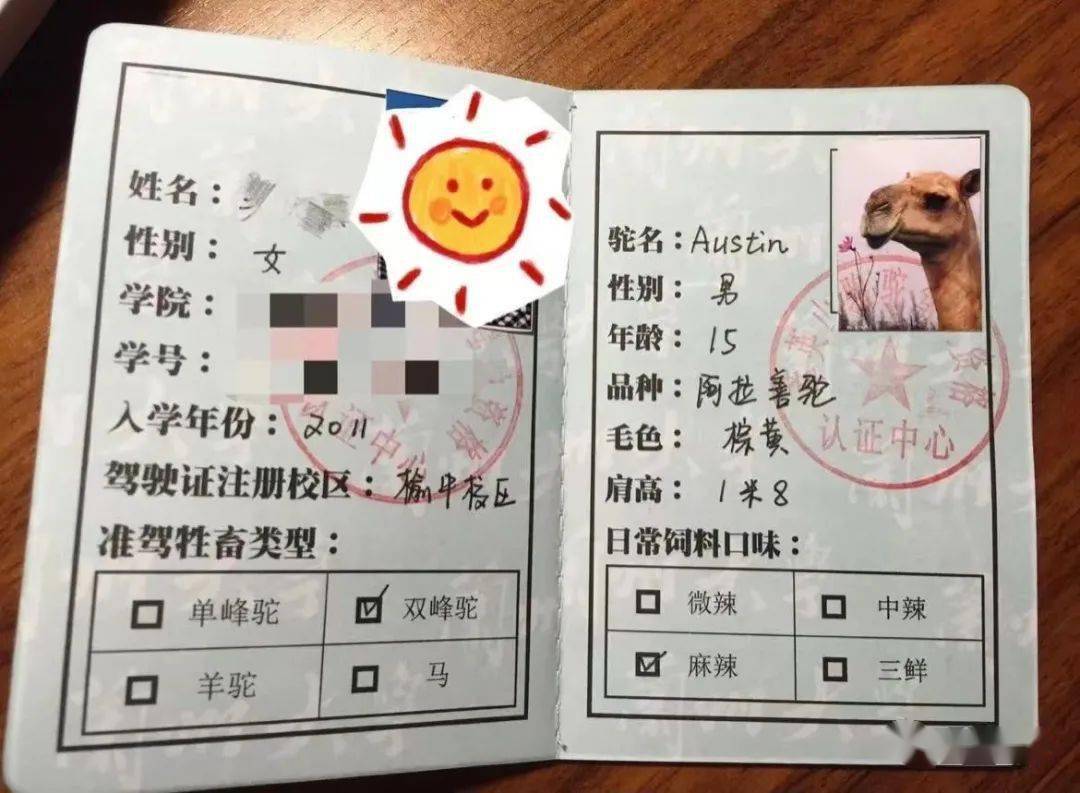 富二代为表白送288w的lv飞机包包我却这福气给你要不要啊