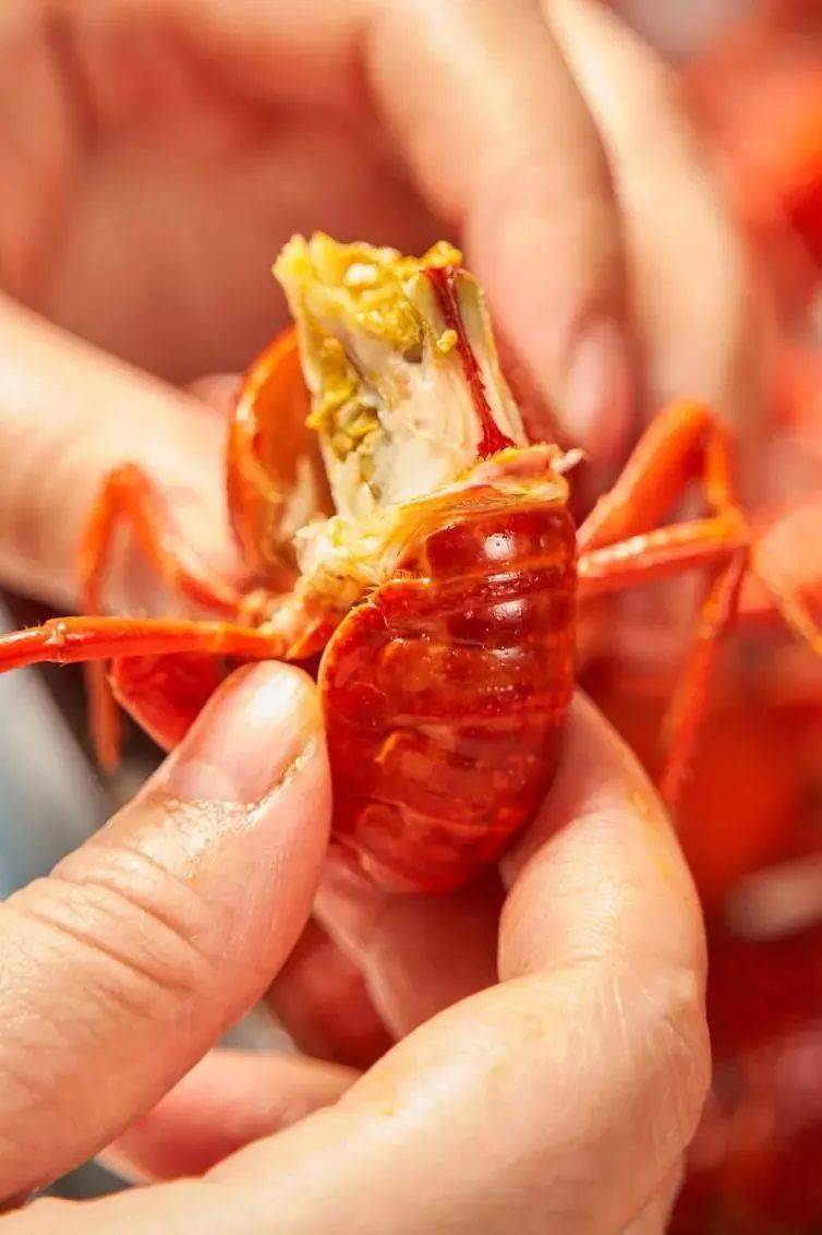 北京的小龙虾从没让人失望过