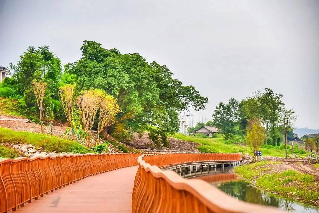 青衣江湿地公园局部开放,洪雅"城市绿心"等你来逛!_步道