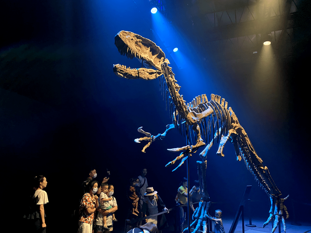 2700㎡环球影城授权打造的沉浸式《侏罗纪世界》0699开抢,1:1真实