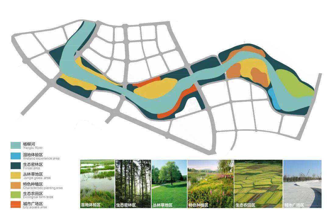 布局总图▲河道典型断面图▲防洪成果模型图杨柳湖位于成都市新津县