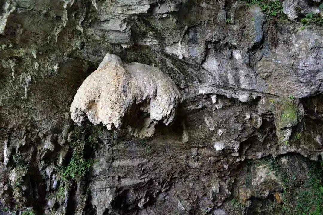 ST-3890320 スタンドアップパドルボード SUP スタンドアップパドル