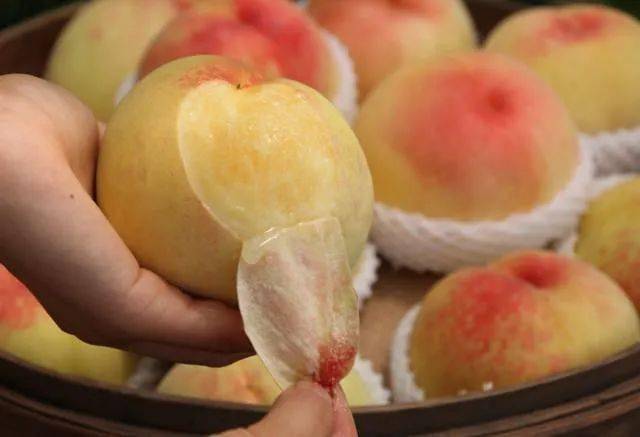 无锡阳山水蜜桃上市供不应求价格高达一只125元