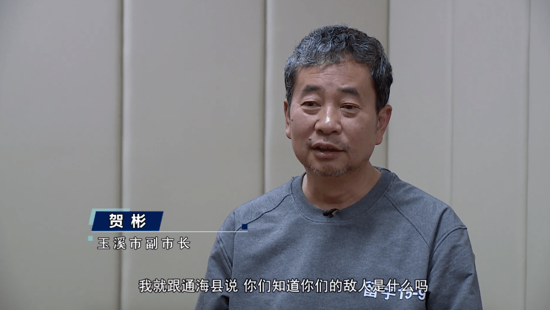 副市长为应付检查,请专家团队为造假工程"科学论证"_贺彬