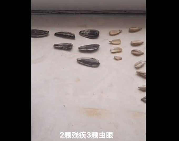 男子无聊手动检查969颗瓜子：1颗坏籽、2颗残疾、3颗虫眼……