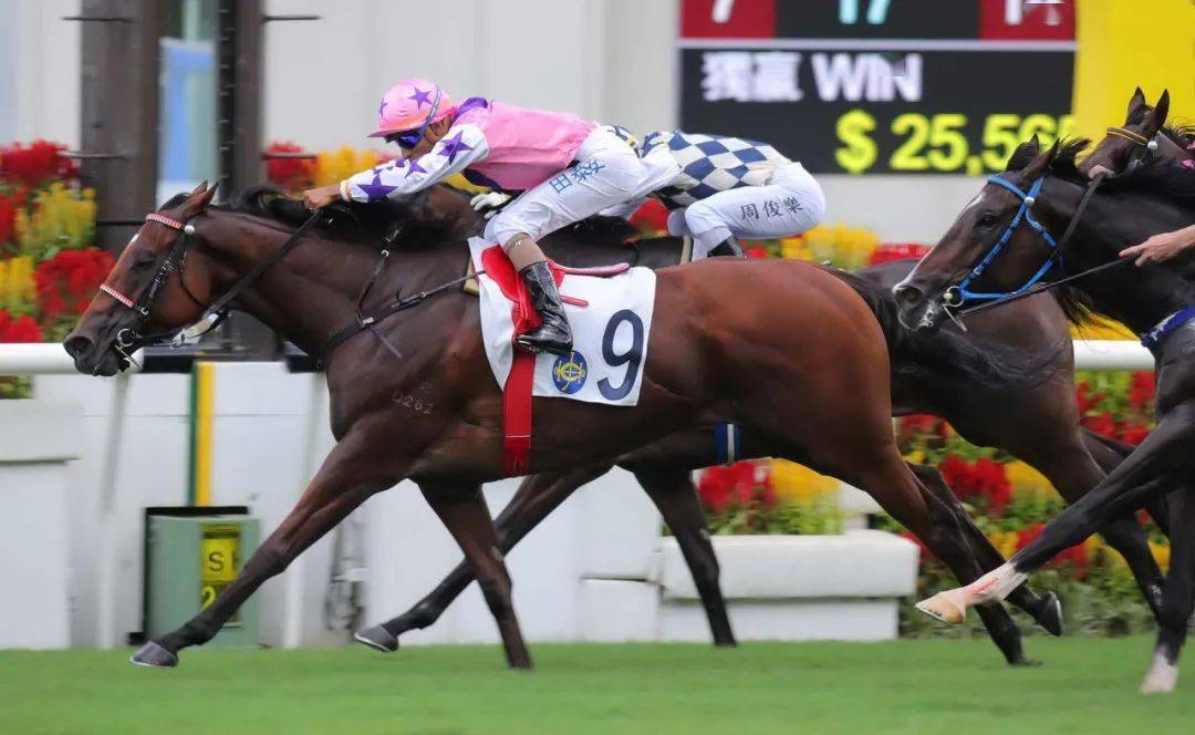 沙田煞科应届冠军骑师莫雷拉火速1100w