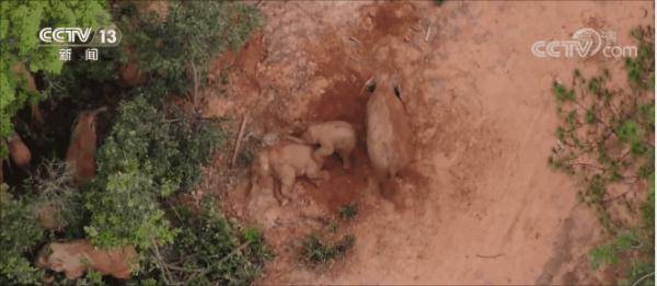 土象是人机吗 3e15ad8f72404abf85fba204e4e00220.jpeg