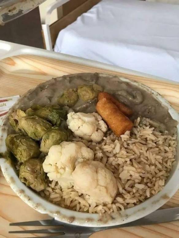 网友分享在医院里吃到最难吃的食物中国食堂yyds
