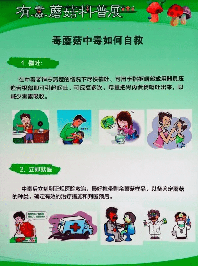 预防毒蘑菇中毒这些事你该知道