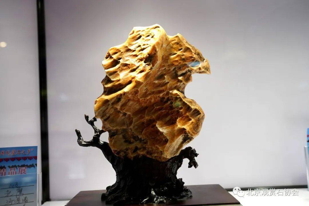 乌拉特后旗赏石博览会获奖作品选赏!