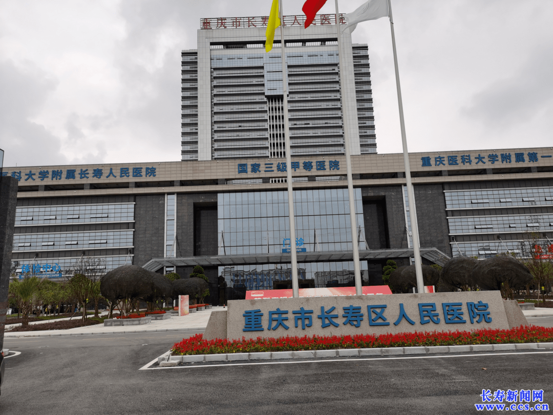 最新长寿重大项目进展情况你关心哪些