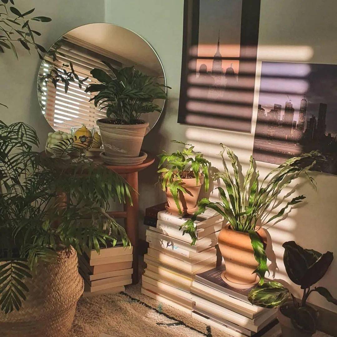 摄影师镜头下的光影角落这样的作品太有感觉了