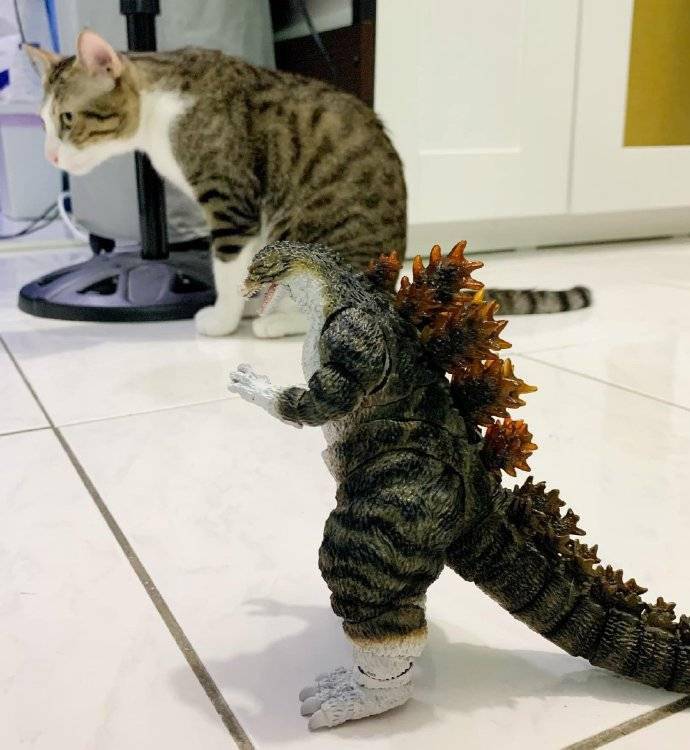 可爱宠物猫配色哥斯拉模型"哥斯喵"_猫咪