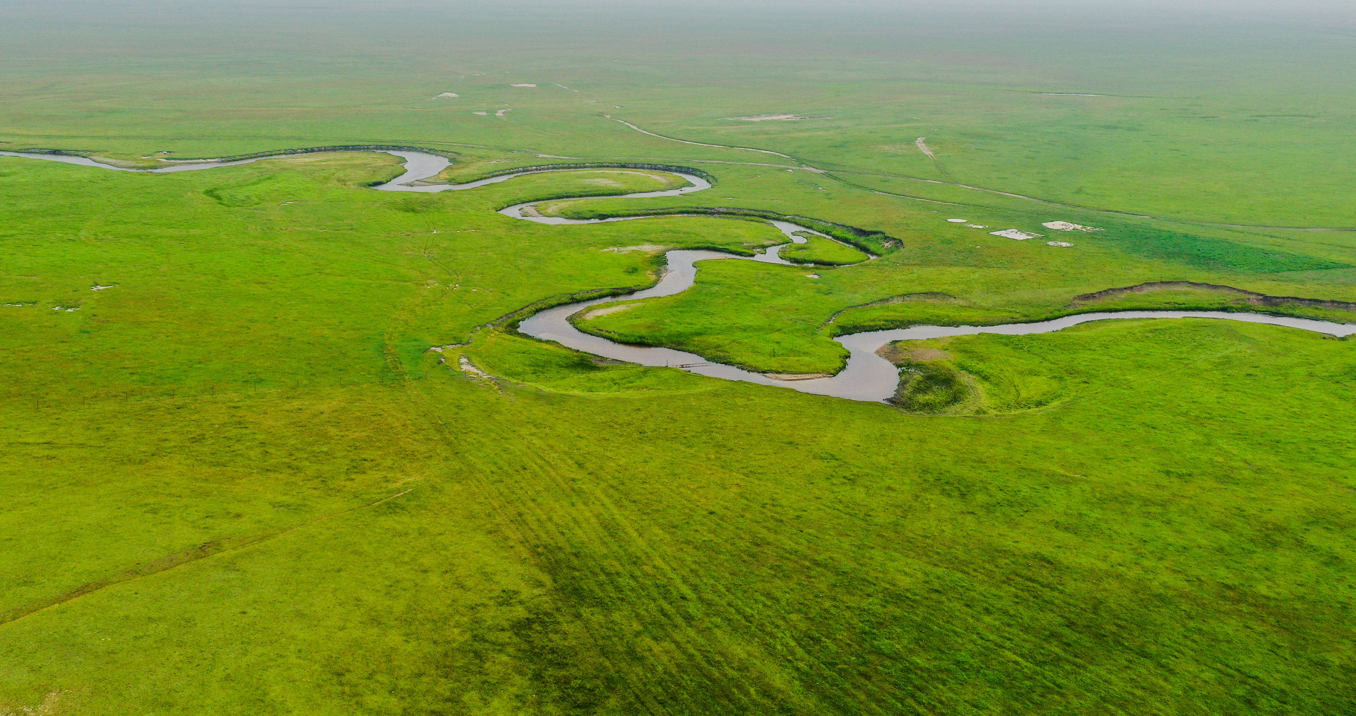 盛夏时节,内蒙古锡林郭勒盟东乌珠穆沁旗草原水草丰美,乃林河流淌其间
