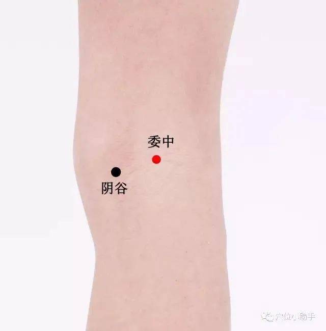 小腿最上面的骨头痛 8456ccf43e274cc6b4bb4b2c1acea8f7.jpeg