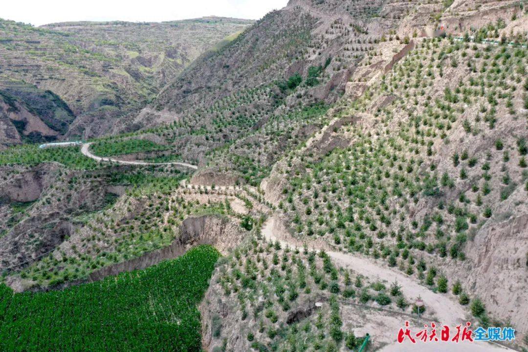 昔日荒山披绿装 生态广河展新颜_绿化