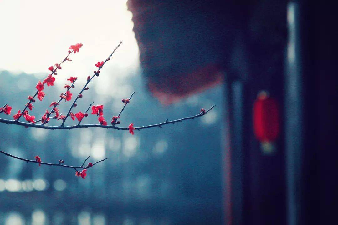 白落梅:我想和你隐居江南