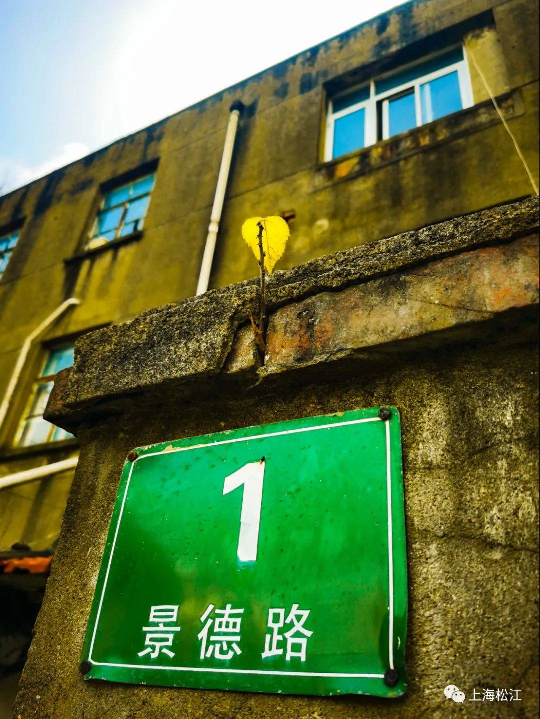 松江的这条老街上，随手一指，就能点出一段故事