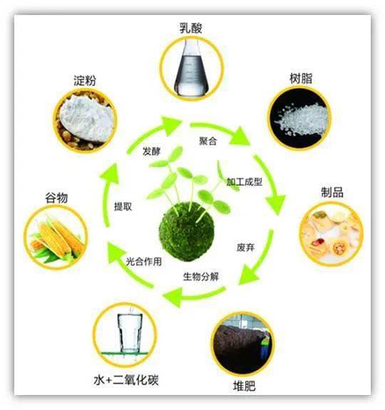 什么是生物材料 65f55a48049b483dbdc2e7b133351542.jpeg