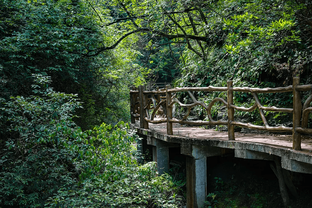 打鼓岭日前,黟县打鼓岭景区,五溪山景区栈道提升改造顺利完成,新