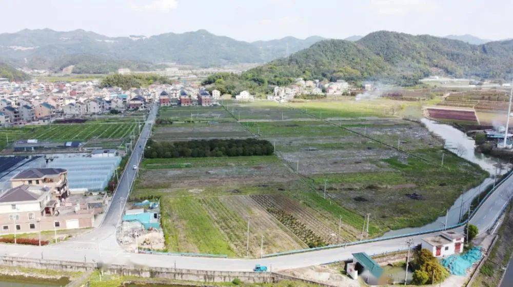 行走在党湾镇梅东村的一方水田里,一台自动插秧机正在紧张地忙碌着