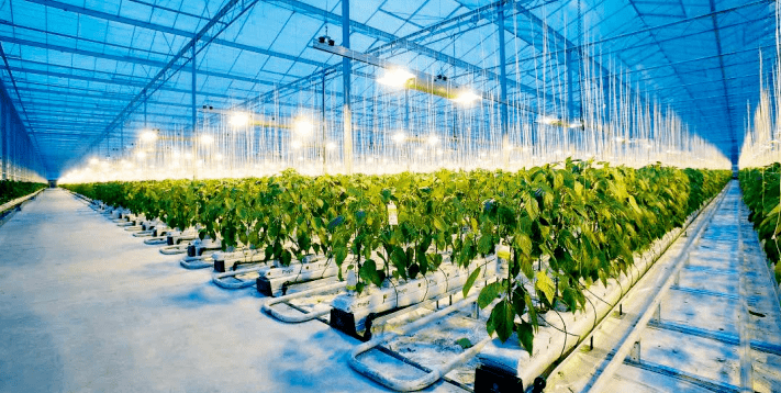 聚焦"十四五"农业发展的新星——无人农场_作业