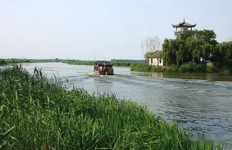 乘坐景區的遊船,可以欣賞九龍口原汁原味水鄉風景,水中的魚時而躍出