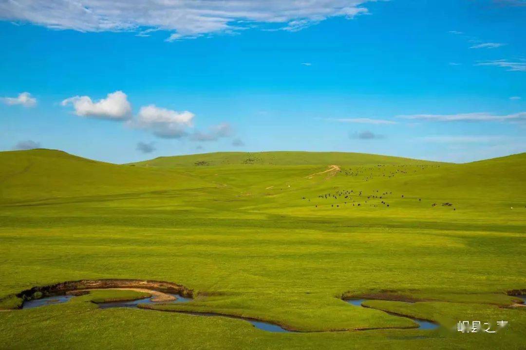 在岷县过一个20℃的夏天——狼渡篇