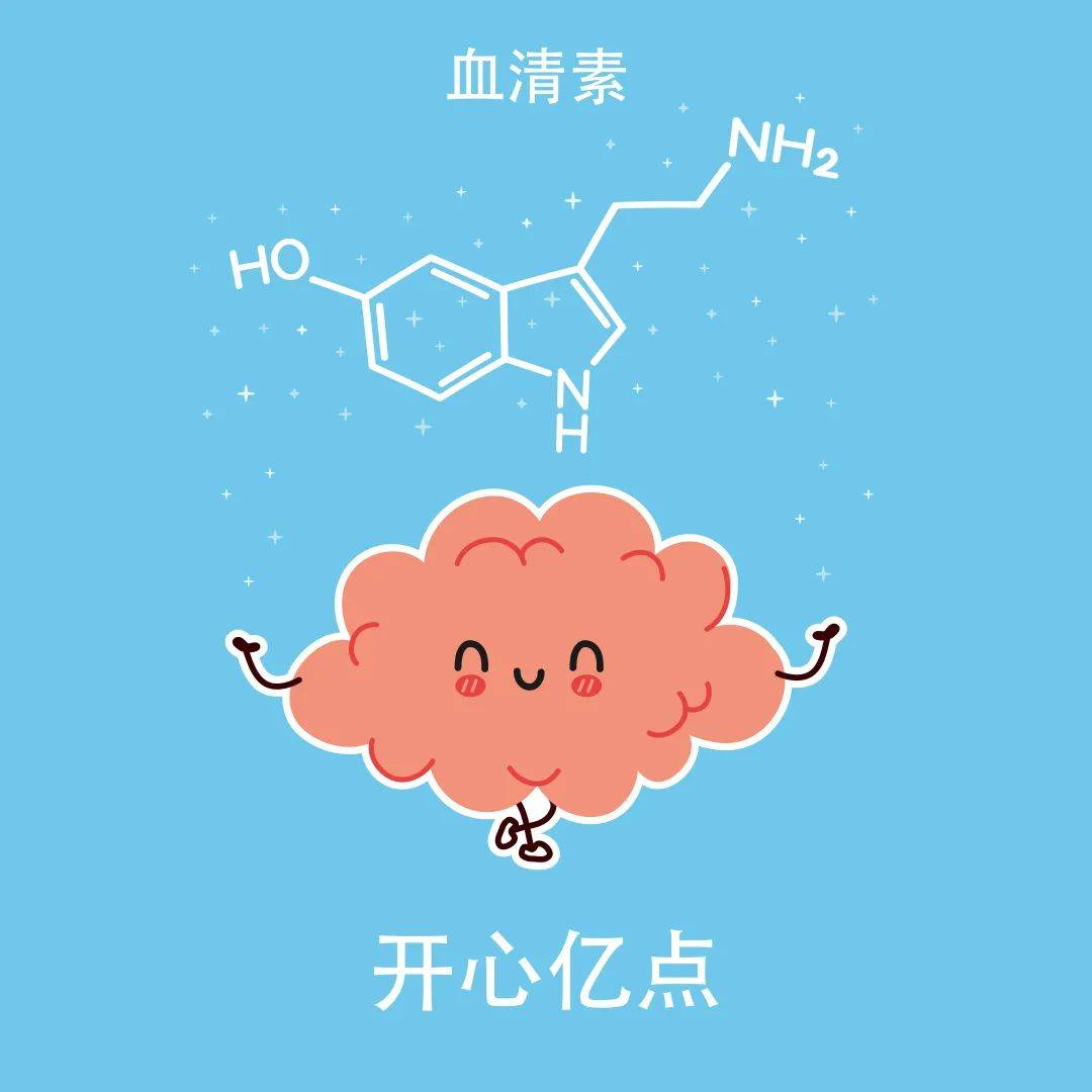 暴躁的原因可能与血清素有关.