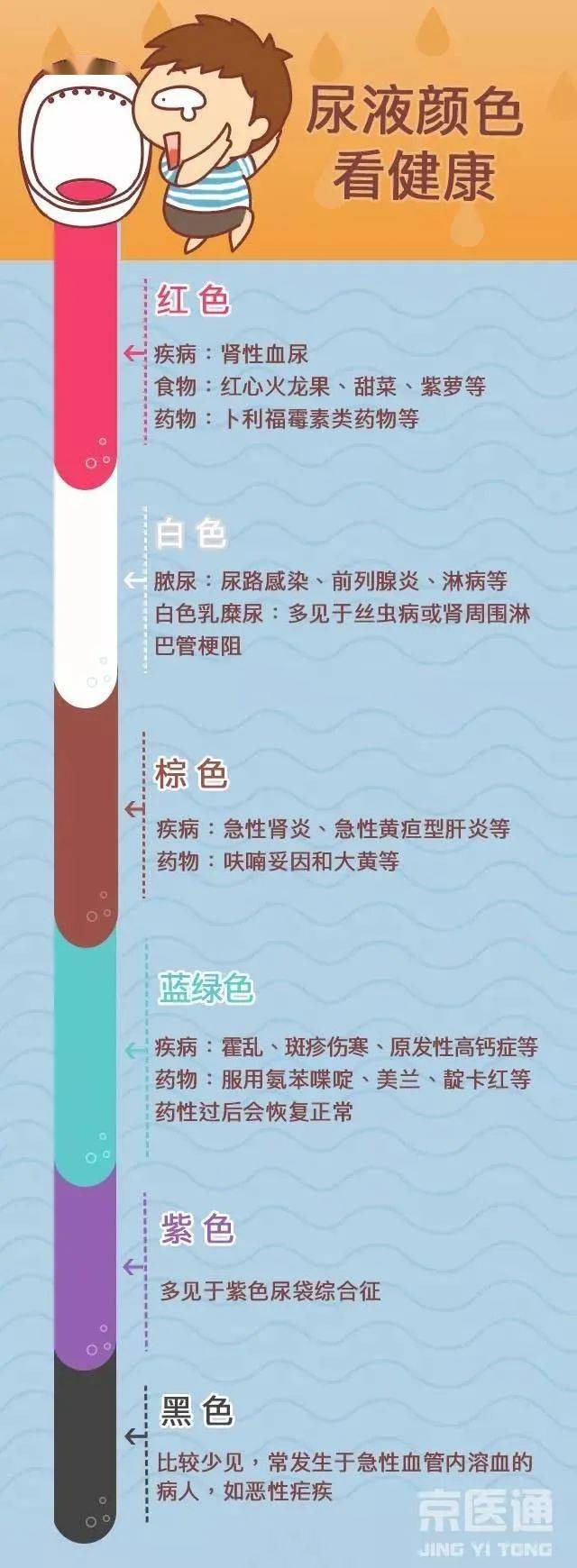 尿液对照图图片