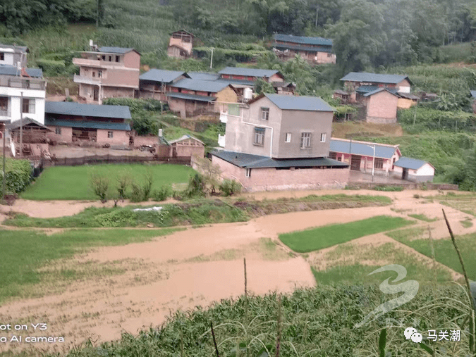 淹水道路塌方部分乡镇不同程度受灾马关县局部地区出现暴雨大暴雨天气