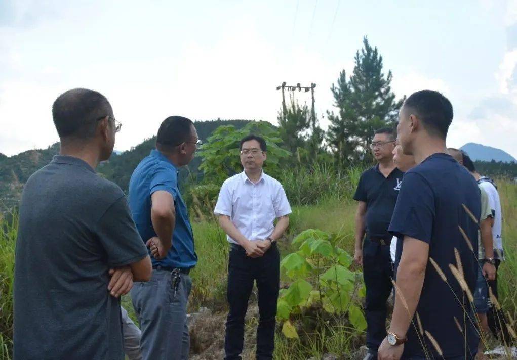 县政府党组成员雷毅陪同调研.