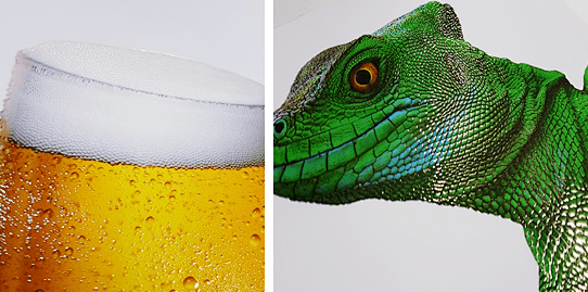 论坛现场,范子平还重点介绍了柯尼卡美能达km-1和mgi两大明星产品.