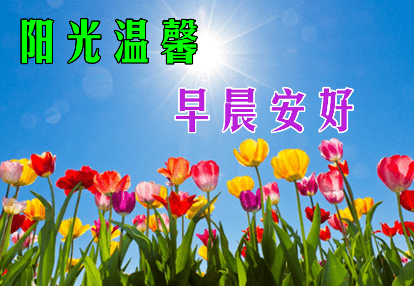 怎样才能上好圆领 d3addb7e343b47bbb356778efe09f03a.png