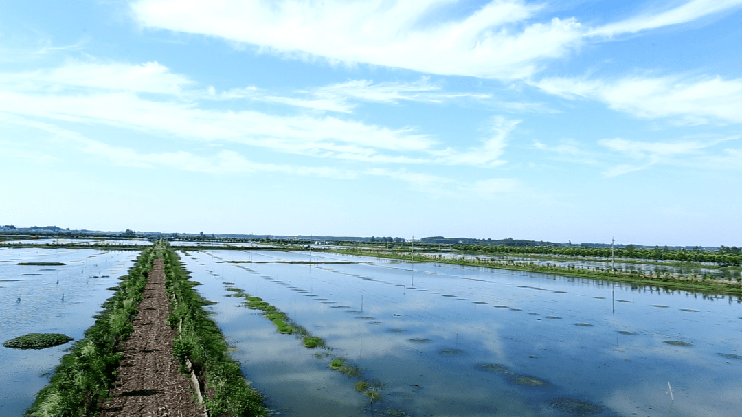【亦鲜生小龙虾·顺丰空运/加热即食】现89元享潜江小龙虾3斤装!